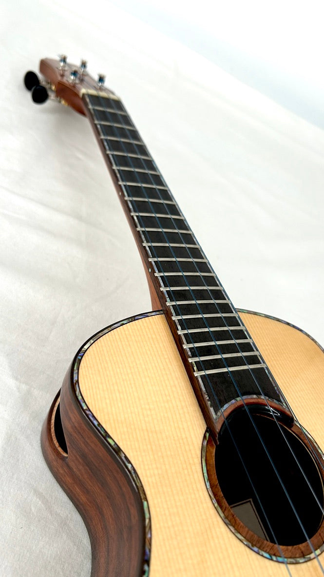 MAESTRO UC-SR SB Concert