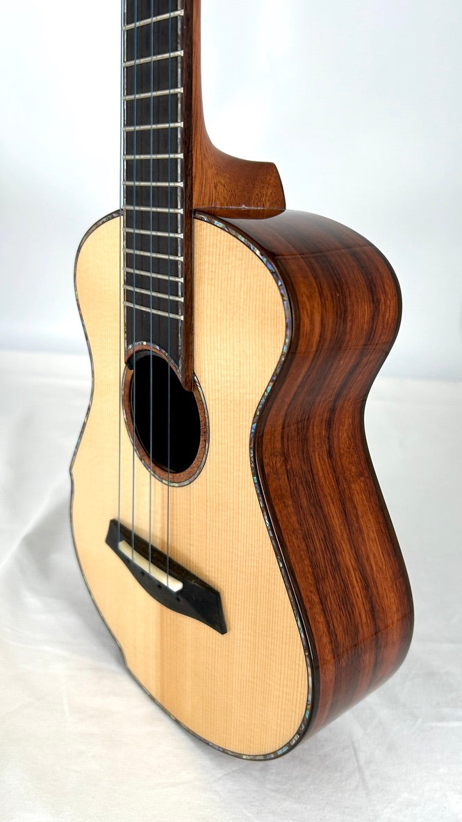 MAESTRO UC-SR SB Concert