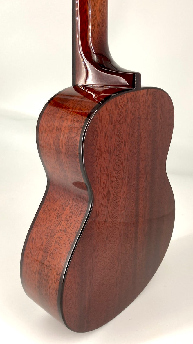 aNueNue AMM2 Concert