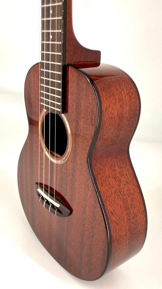 aNueNue AMM2 Concert