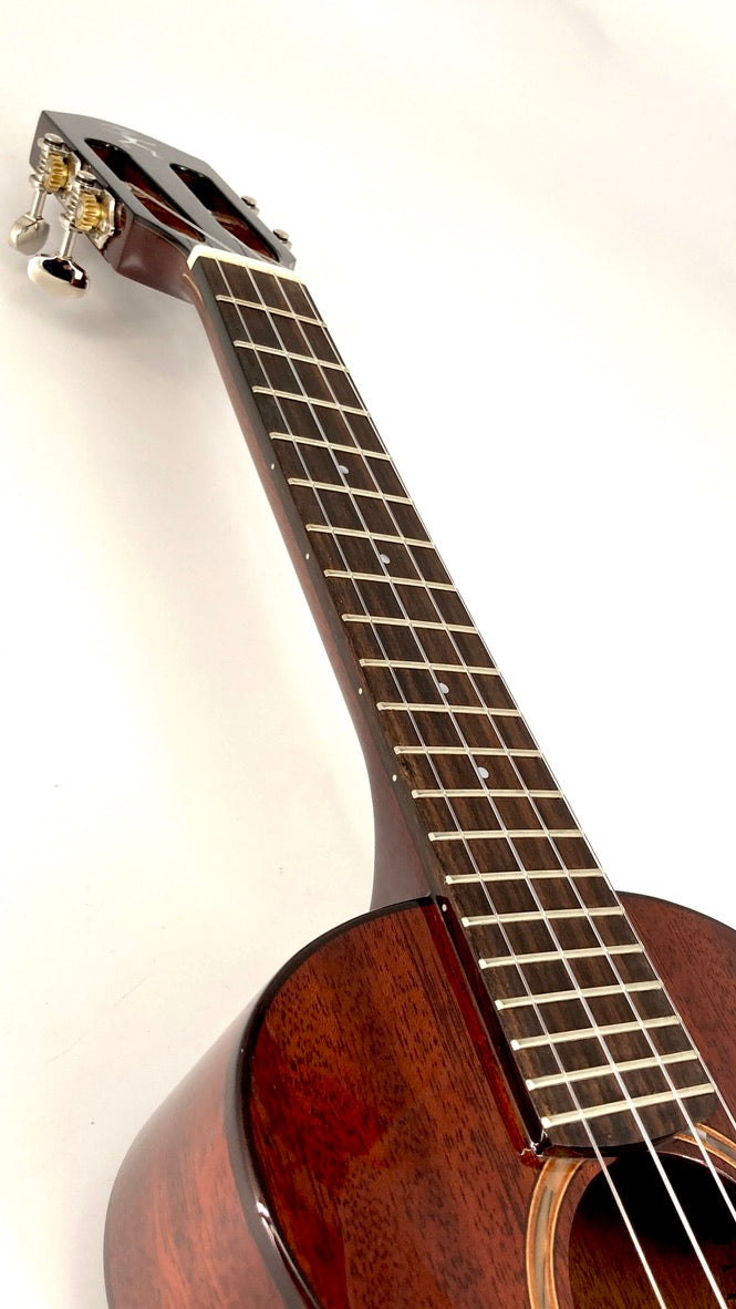 aNueNue AMM2 Concert