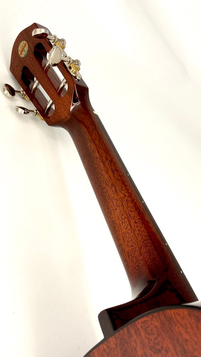 aNueNue AMM2 Concert