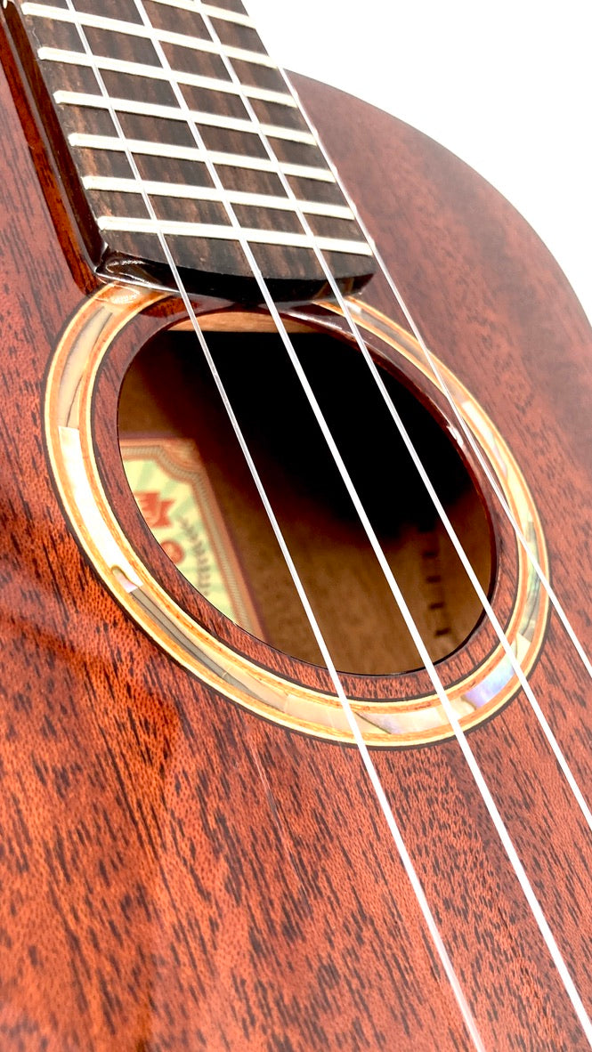 aNueNue AMM2 Concert