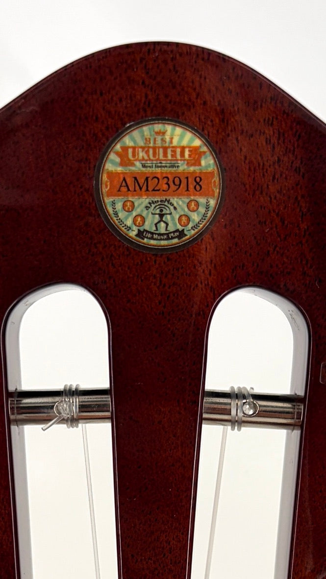 aNueNue AMM2 Concert