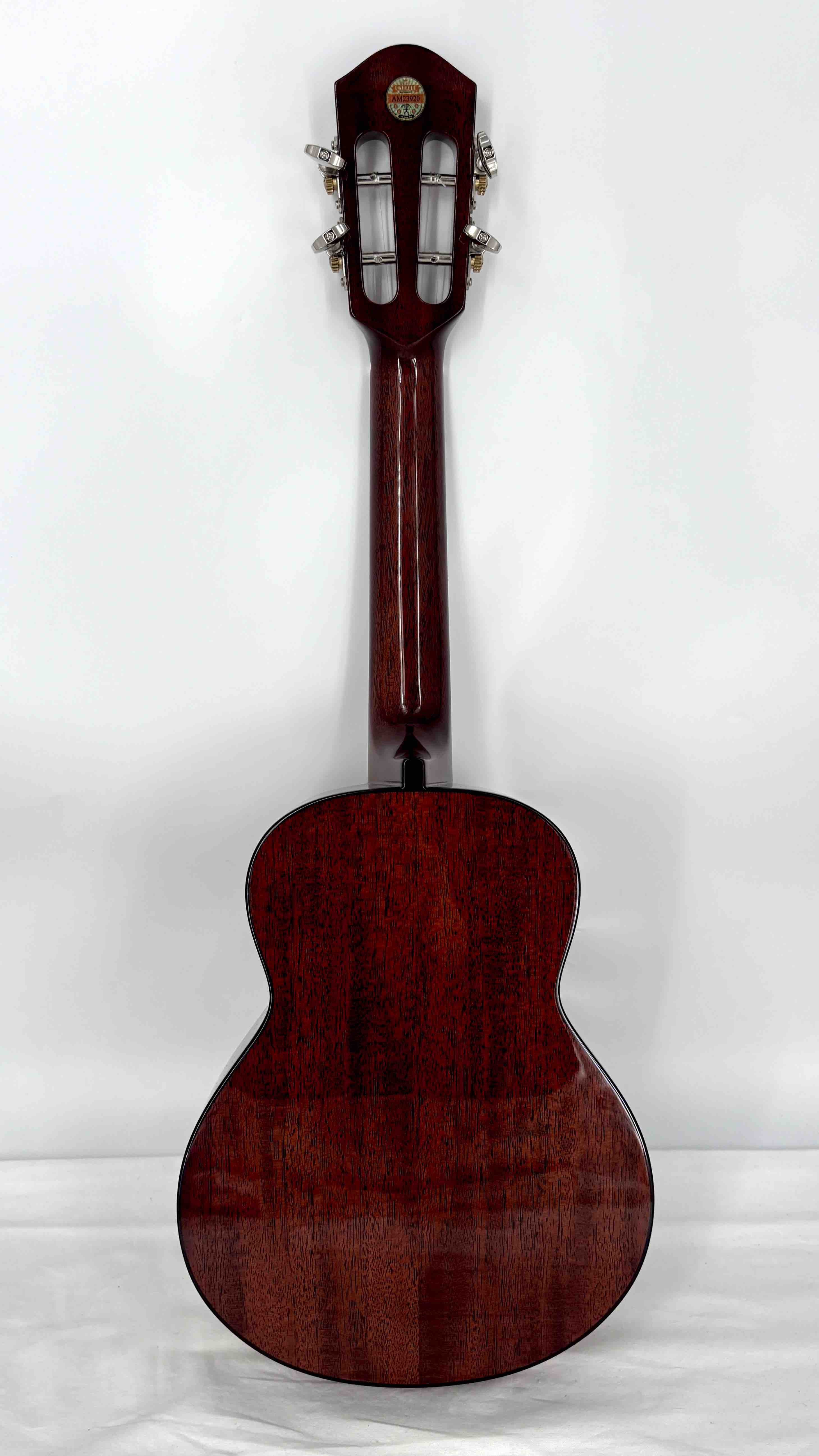 aNueNue AMM2 Concert