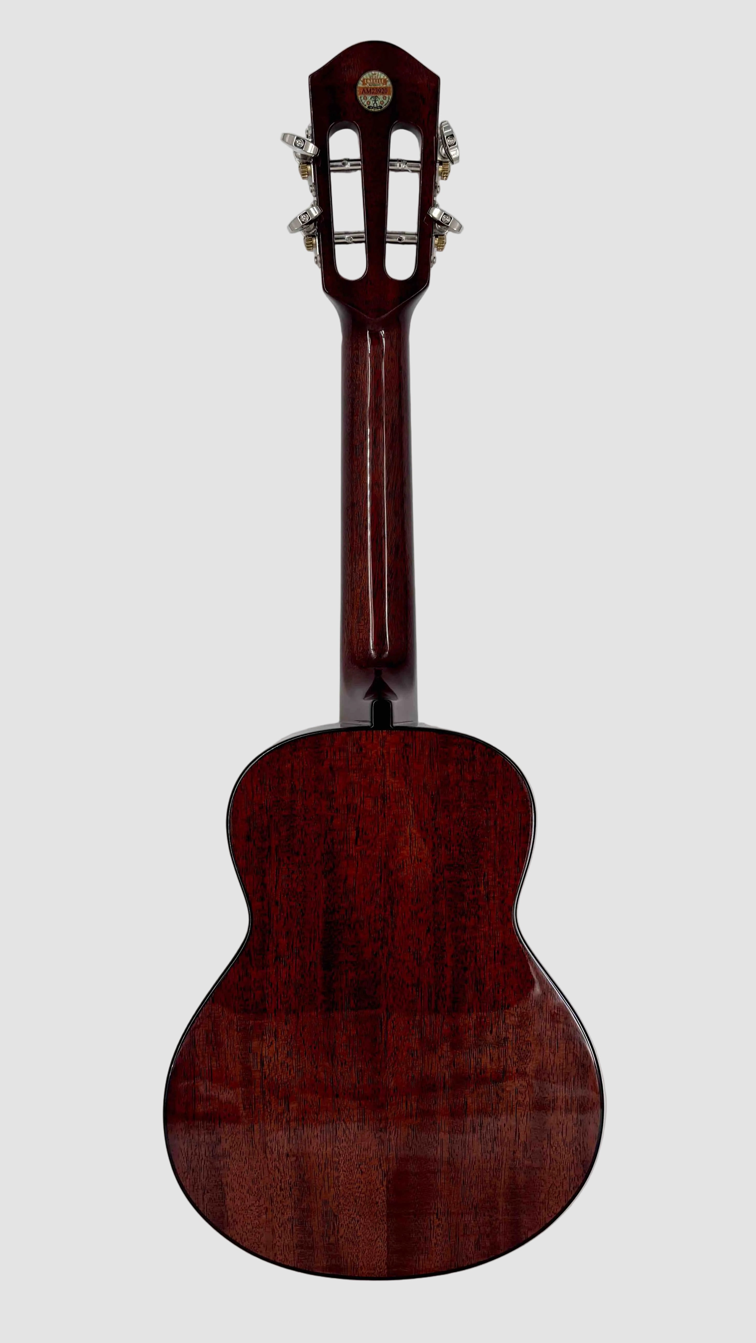 aNueNue AMM2 Concert