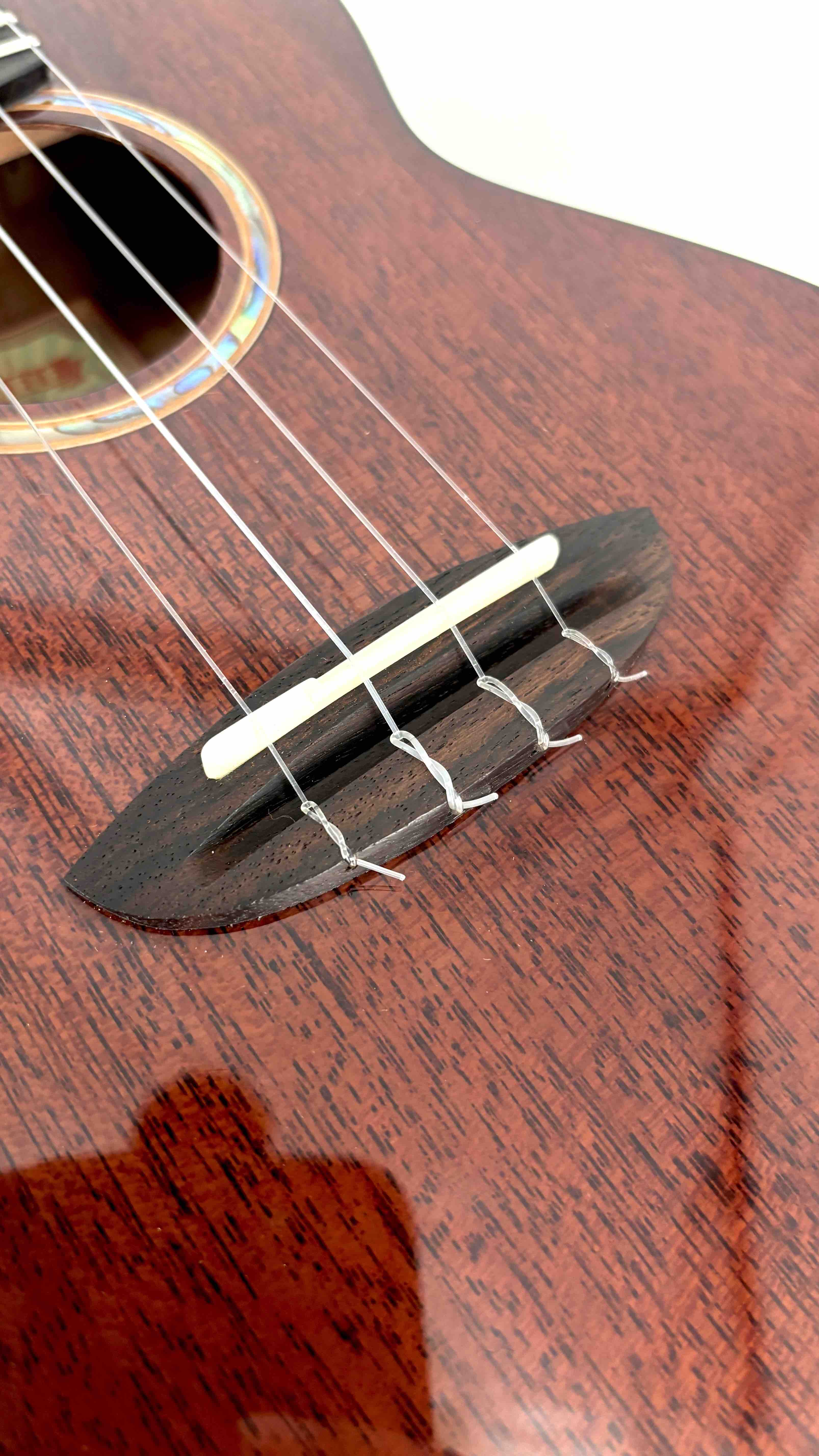 aNueNue AMM2 Concert