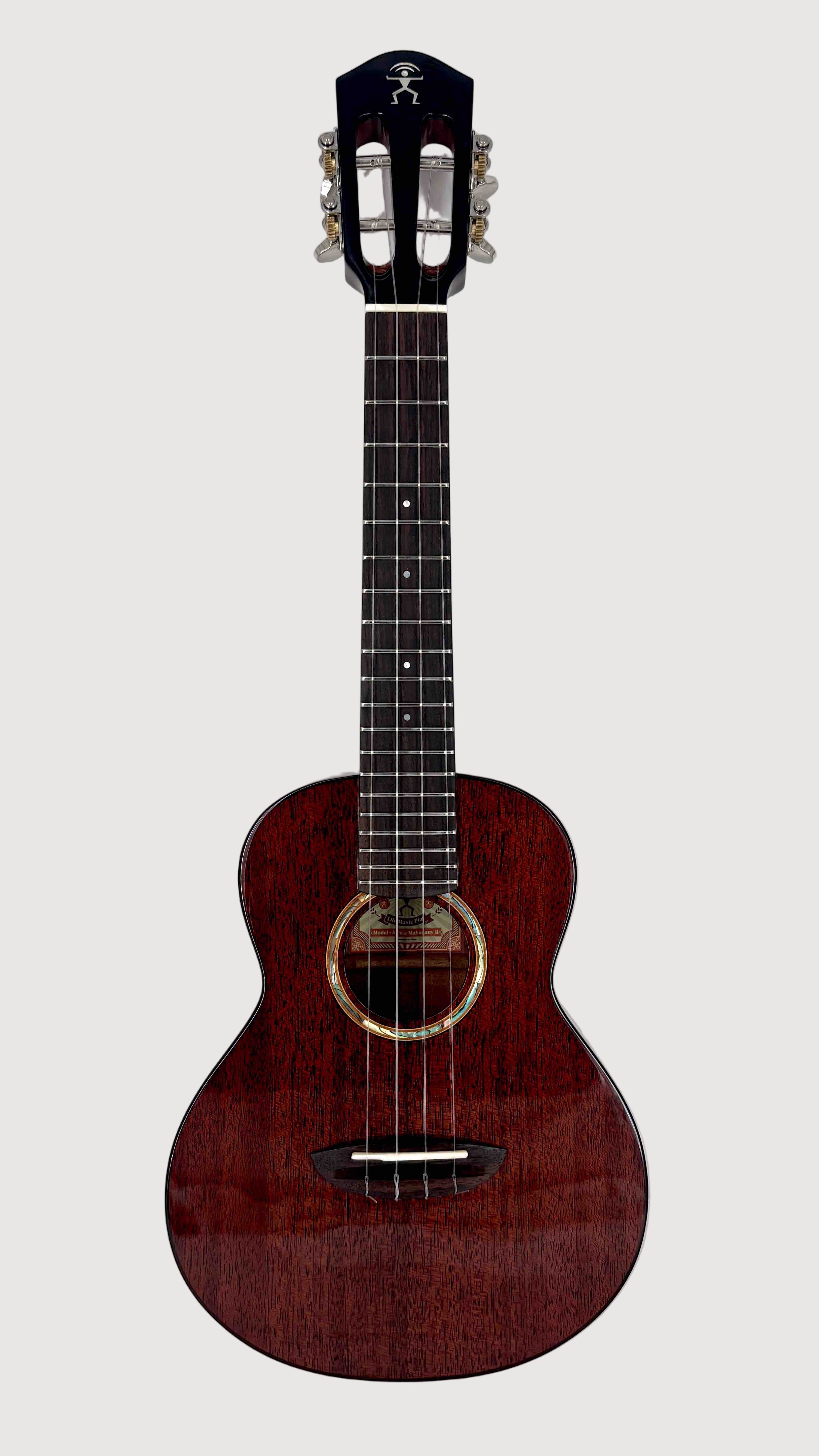 aNueNue AMM2 Concert