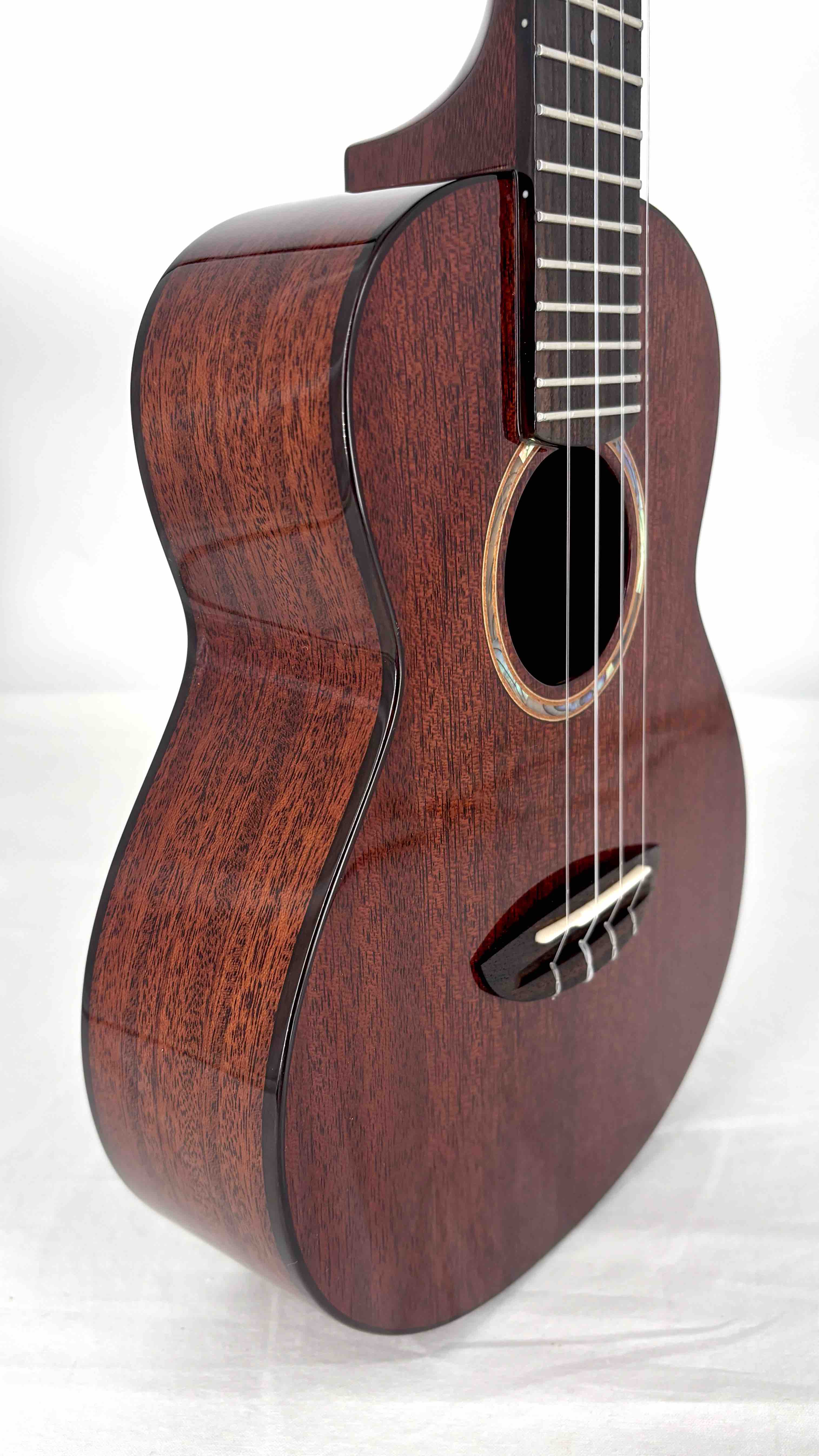 aNueNue AMM2 Concert