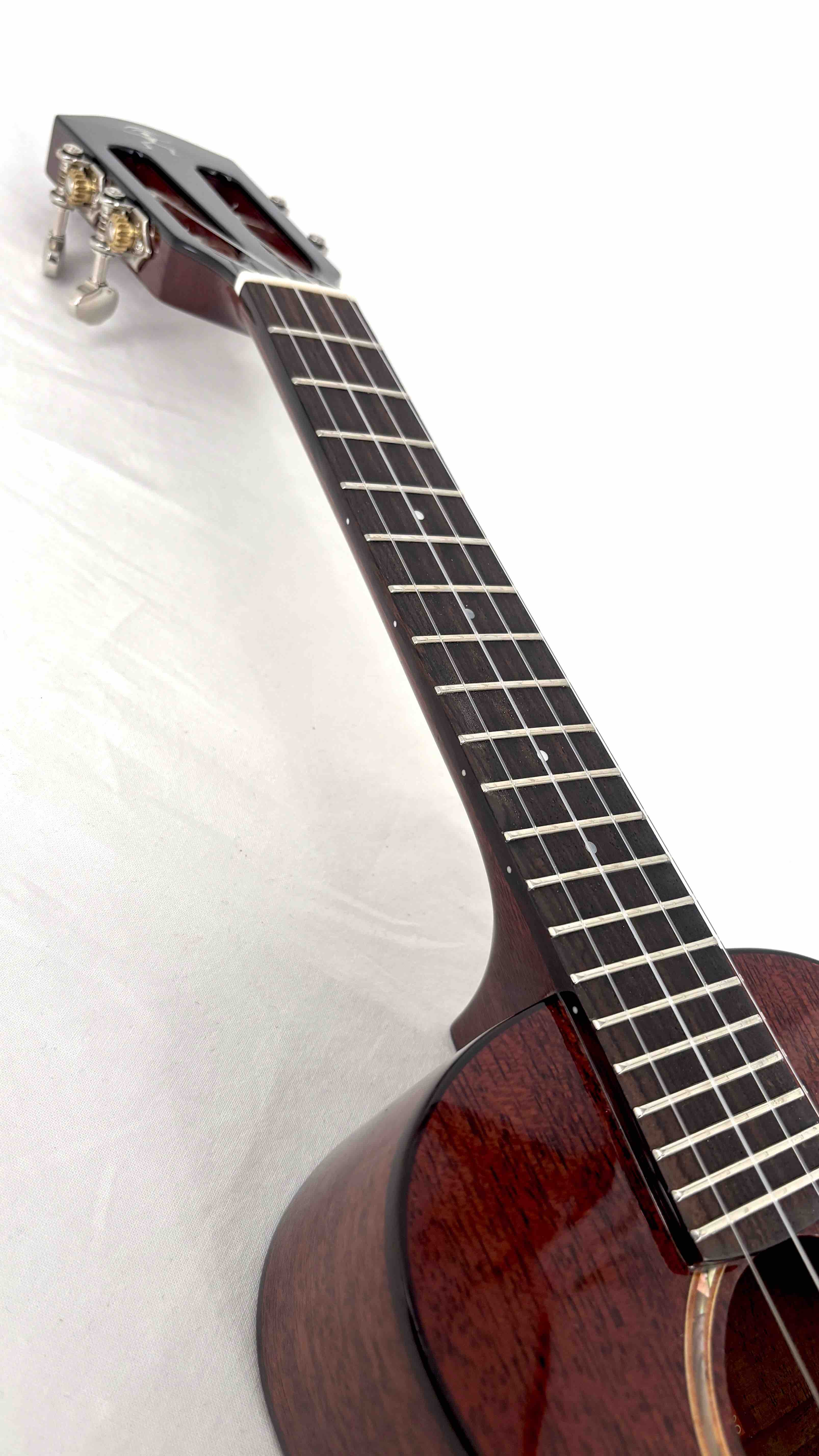 aNueNue AMM2 Concert