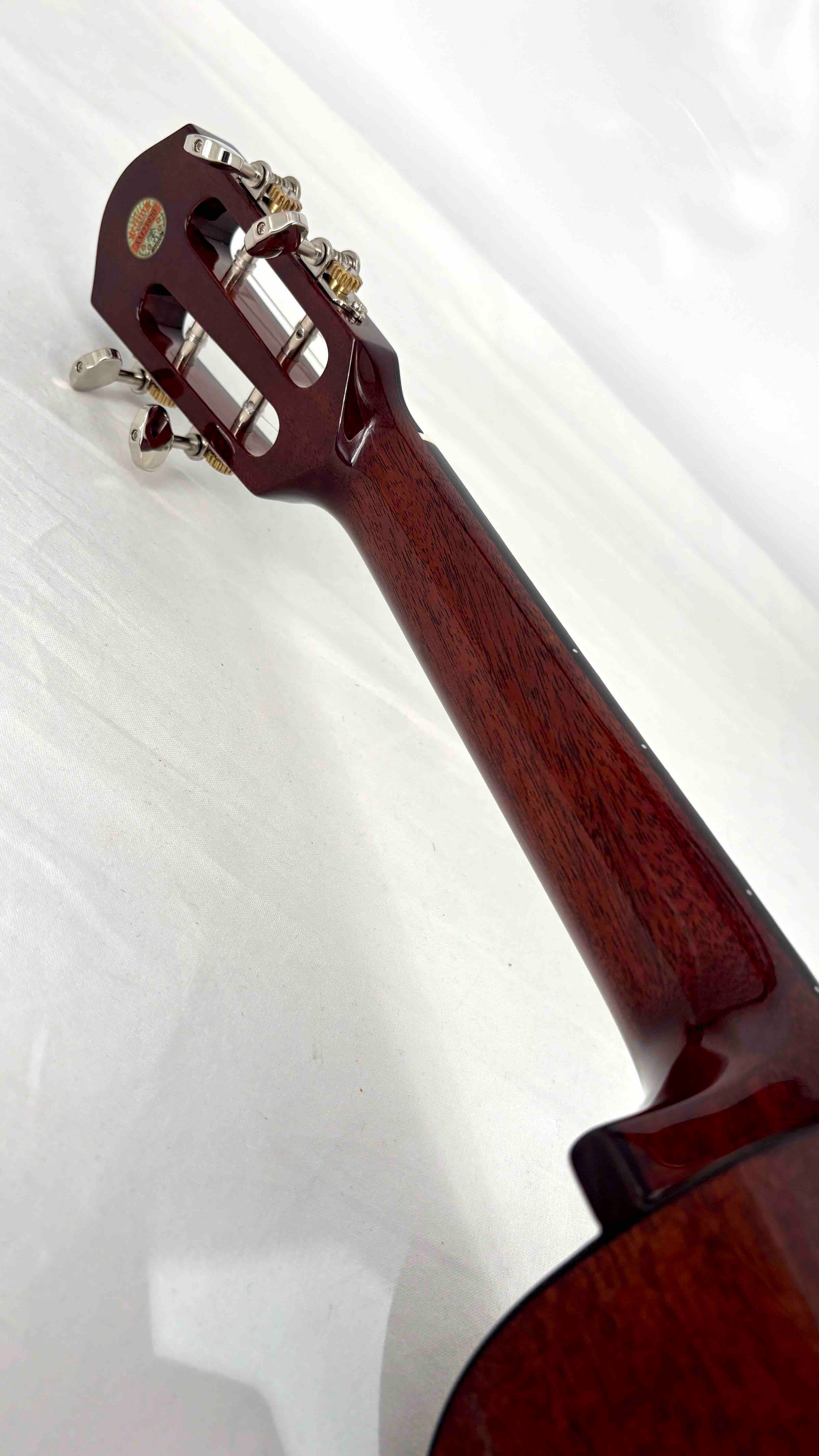 aNueNue AMM2 Concert