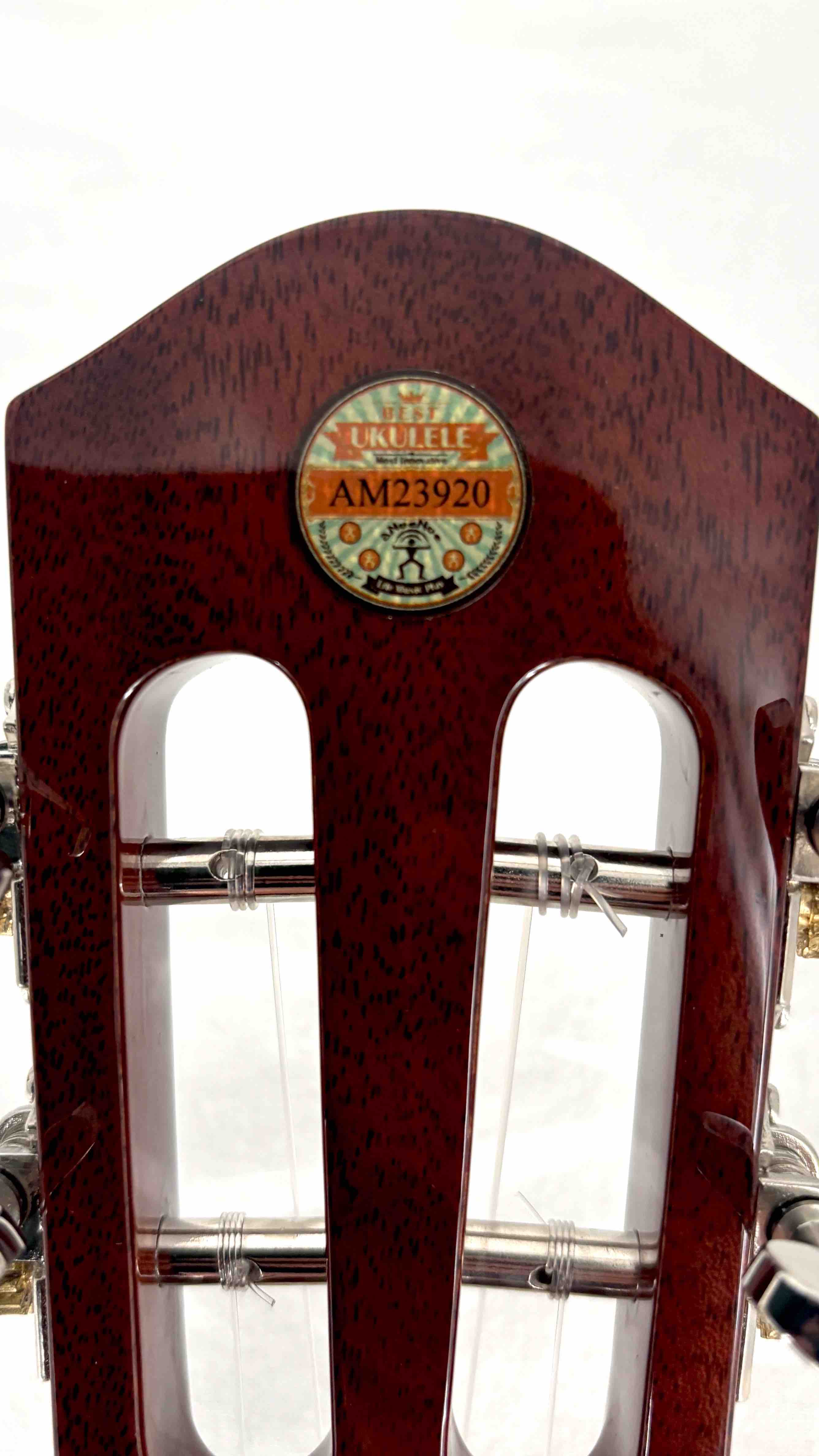 aNueNue AMM2 Concert