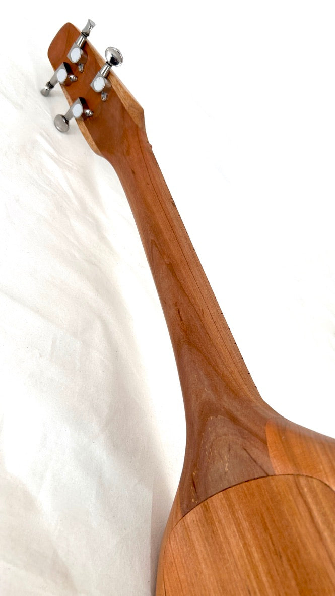 Asonu Tenor 4-string mit Pickup