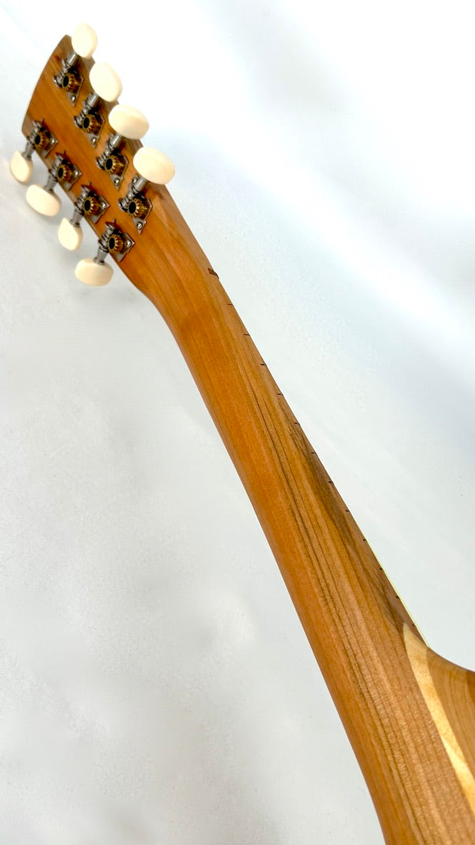 Asonu Tenor Tahitian 8-string mit Pickup