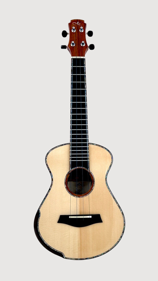 MAESTRO UC-SR SB Concert