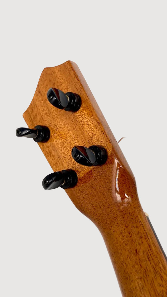 DaSilva Jumbo Tenor