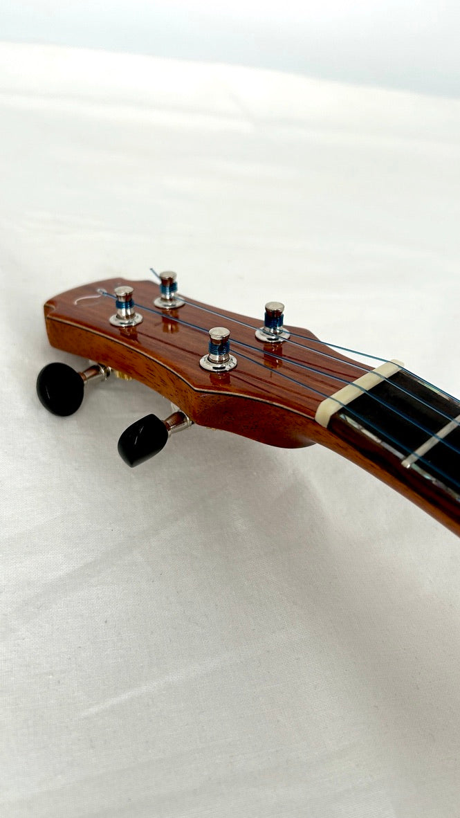 MAESTRO UC-SR SB Concert