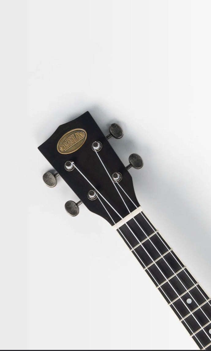 KALA Resonator Tenor Brushed Nickel