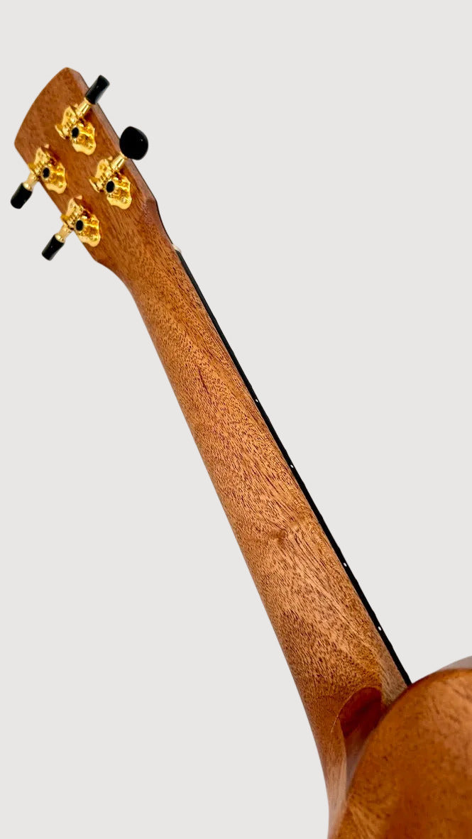 KALA Revelator Nautilus Master Grade Koa Tenor