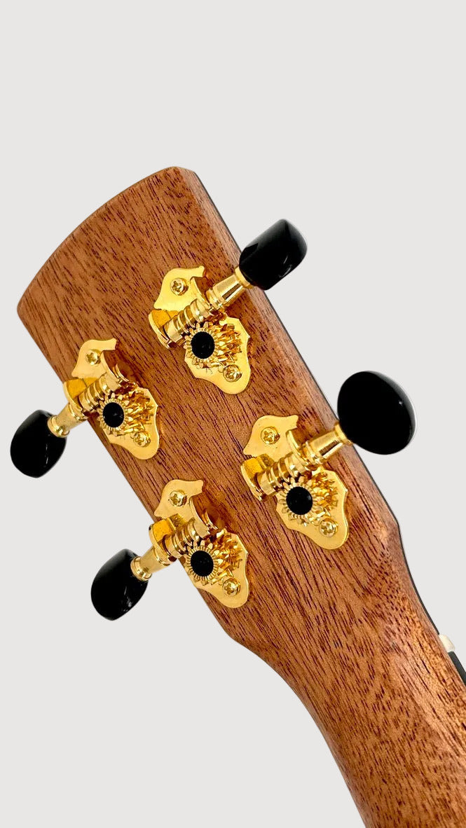 KALA Revelator Nautilus Master Grade Koa Tenor