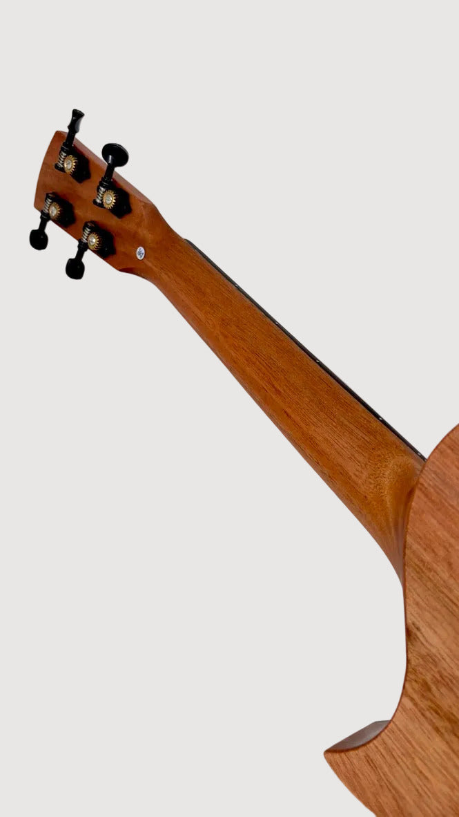 KALA Revelator Night Owl Tenor Andreas David