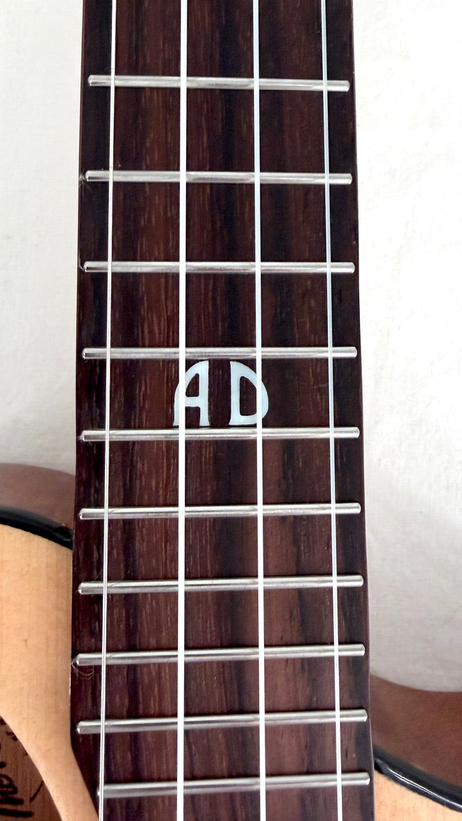 KALA Revelator Night Owl Tenor Andreas David