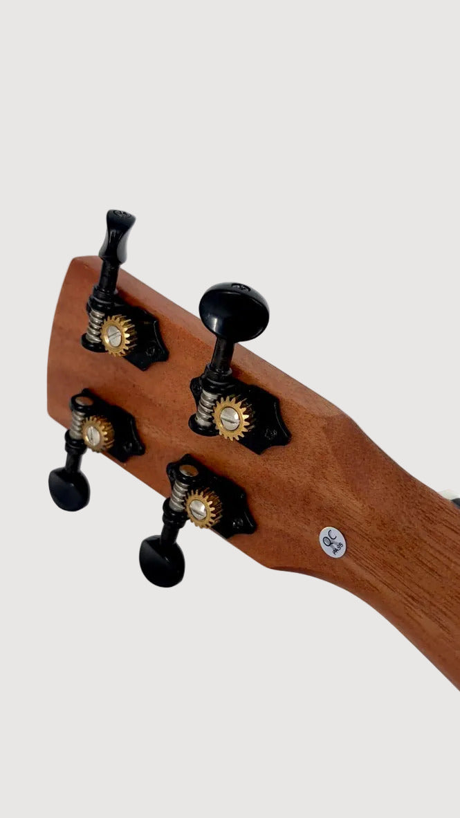 KALA Revelator Night Owl Tenor Andreas David