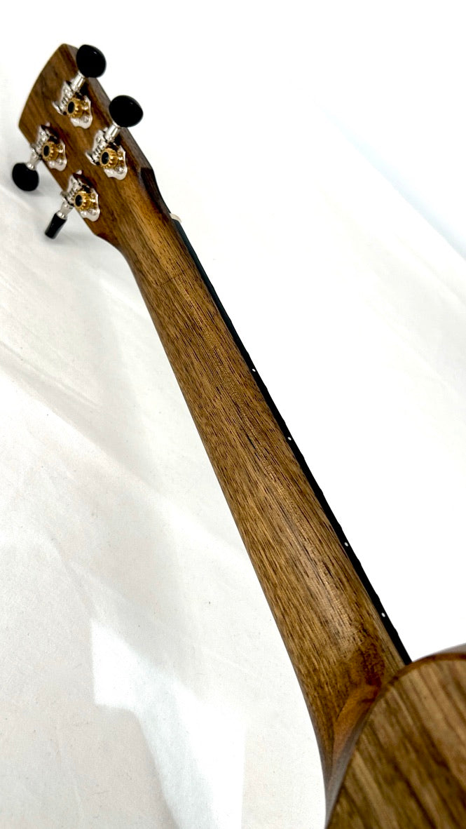 KALA Revelator Nautilus Premium Korina Tenor