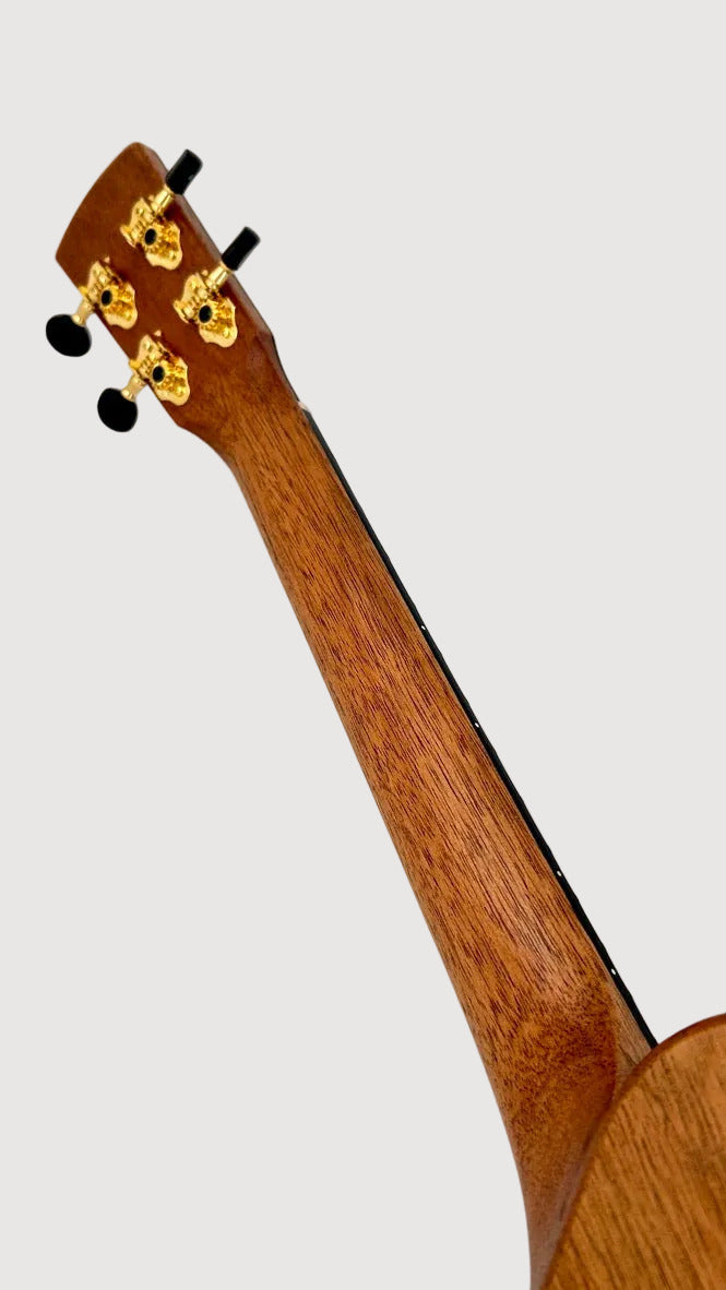 KALA Revelator Nautilus Torrified Spruce Tenor
