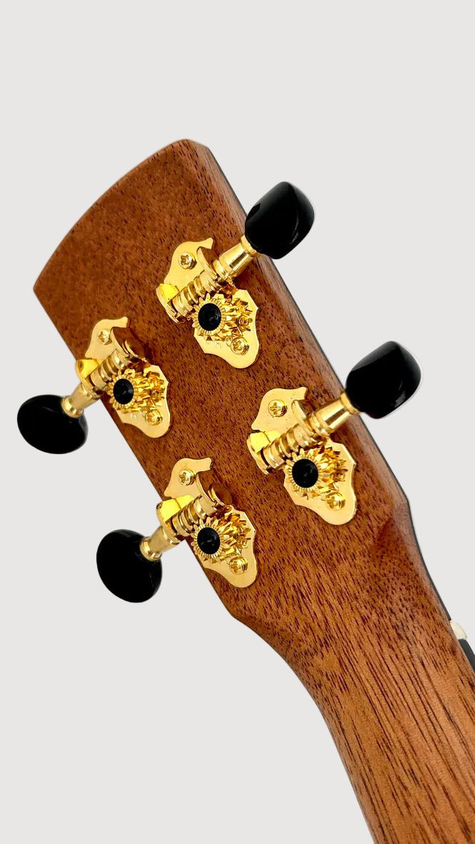 KALA Revelator Nautilus Torrified Spruce Tenor