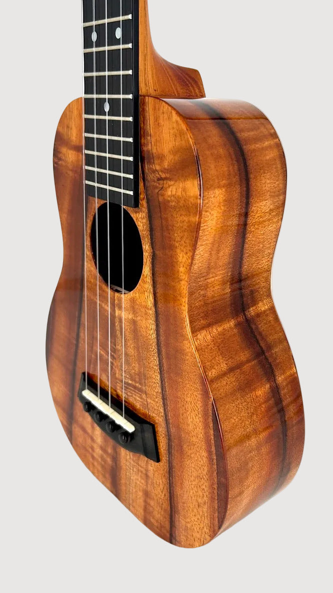 Kanile'a K1 Concert Longneck gloss