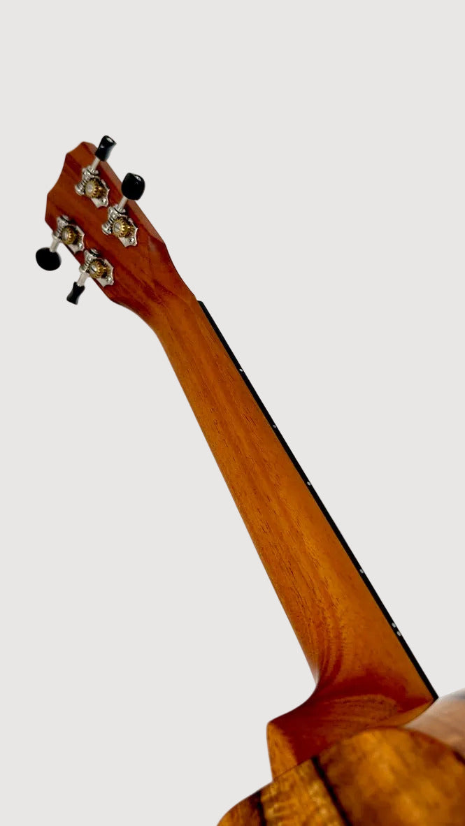 Kanile'a K1 Concert Longneck gloss