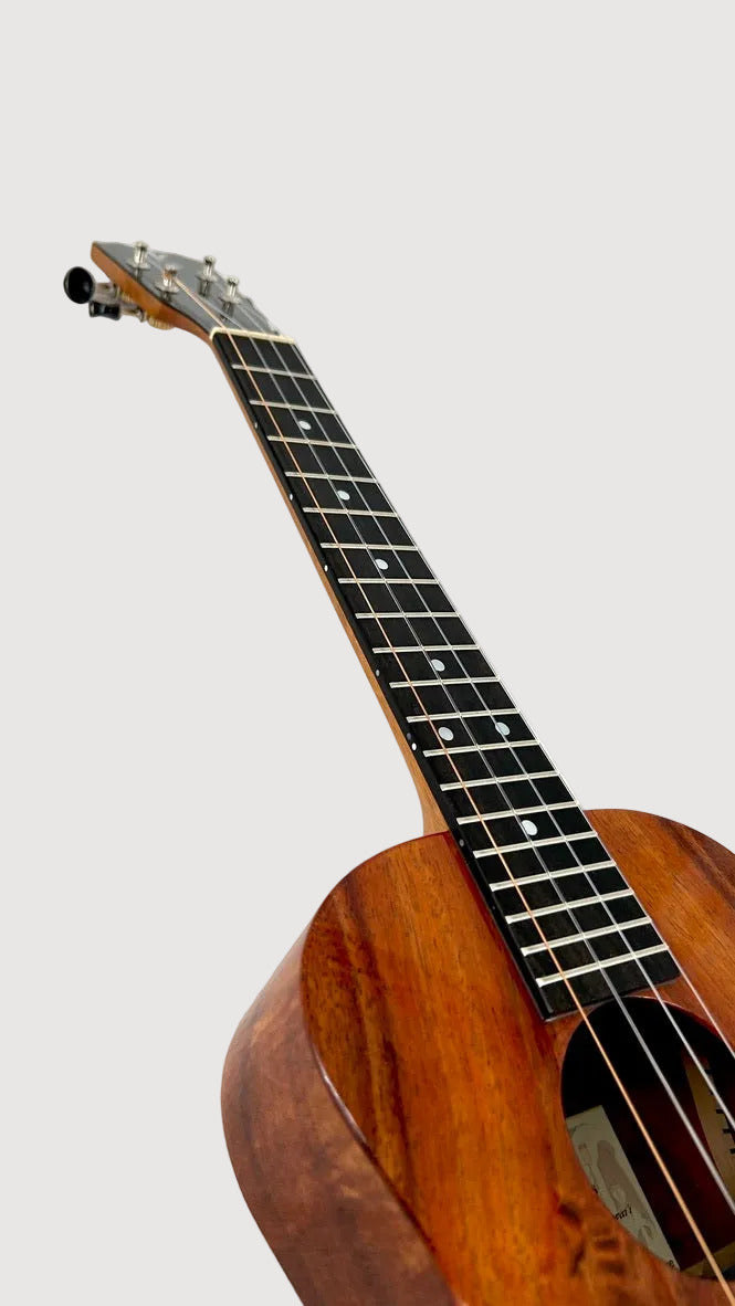 Kanile'a K1 Super Tenor core gloss