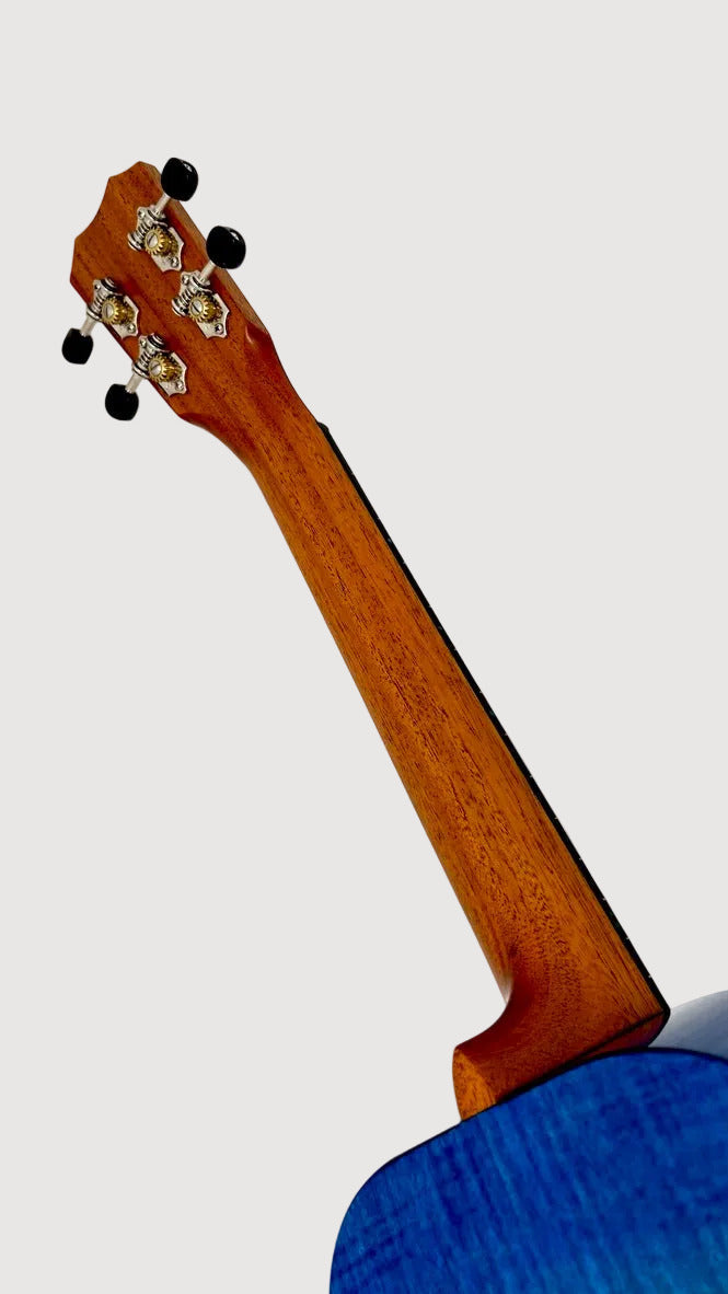 Kanile'a 'Ilikai Tenor