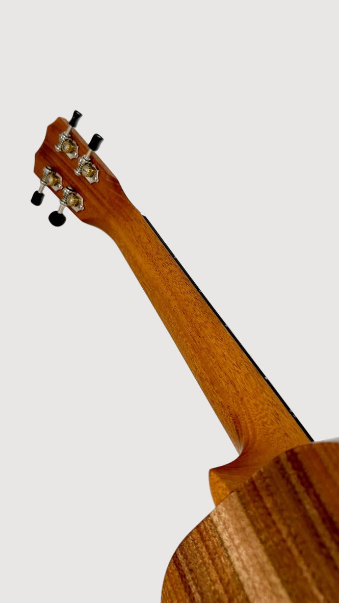 Kanile'a D1 Tenor Core