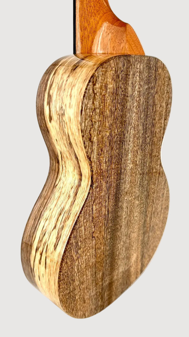 KoAloha KCM-00 Mango Concert gloss #21