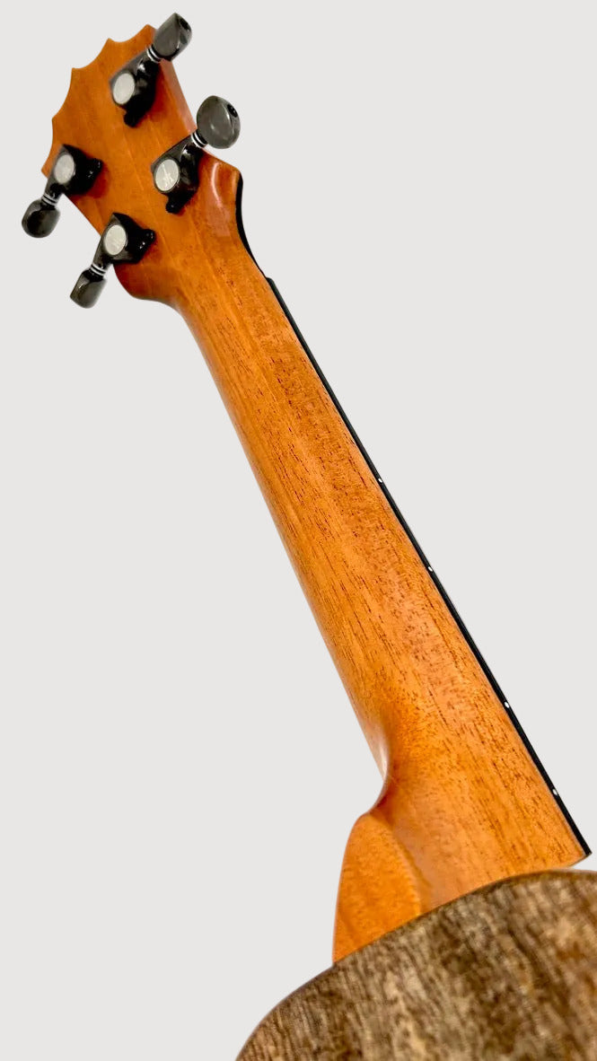KoAloha KCM-00 Mango Concert gloss #21