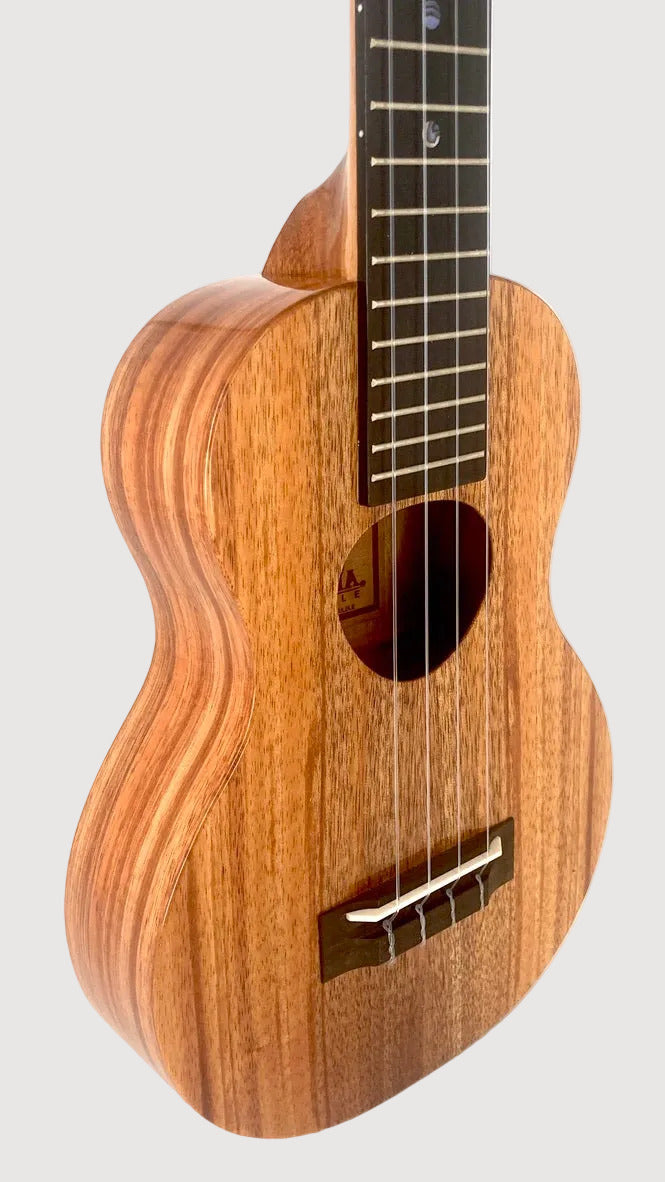 KoAloha KCM-02 Concert Longneck gloss #14