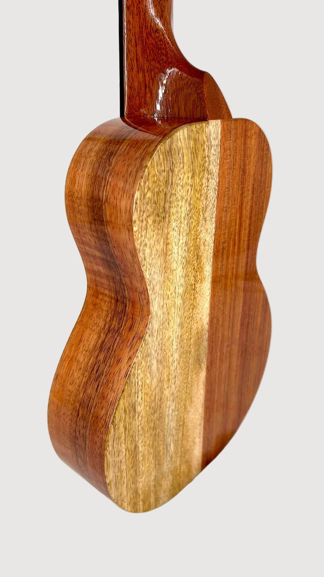 Koaloha KCNP-00 Naupaka Concert gloss #4