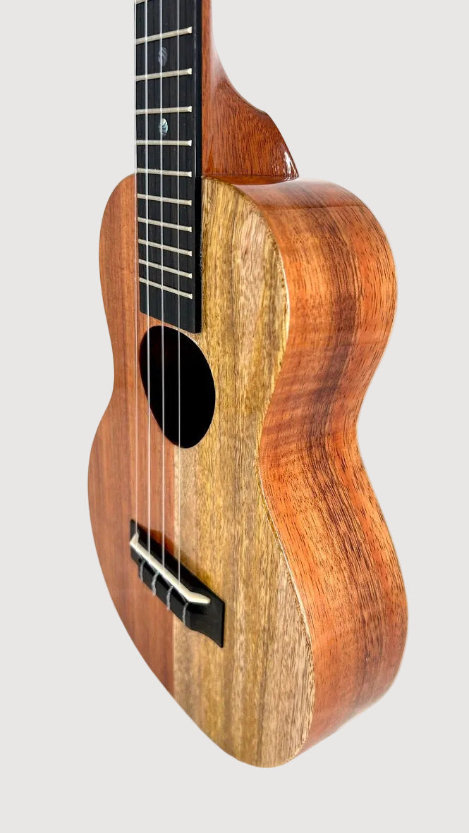 Koaloha KCNP-00 Naupaka Concert gloss #4
