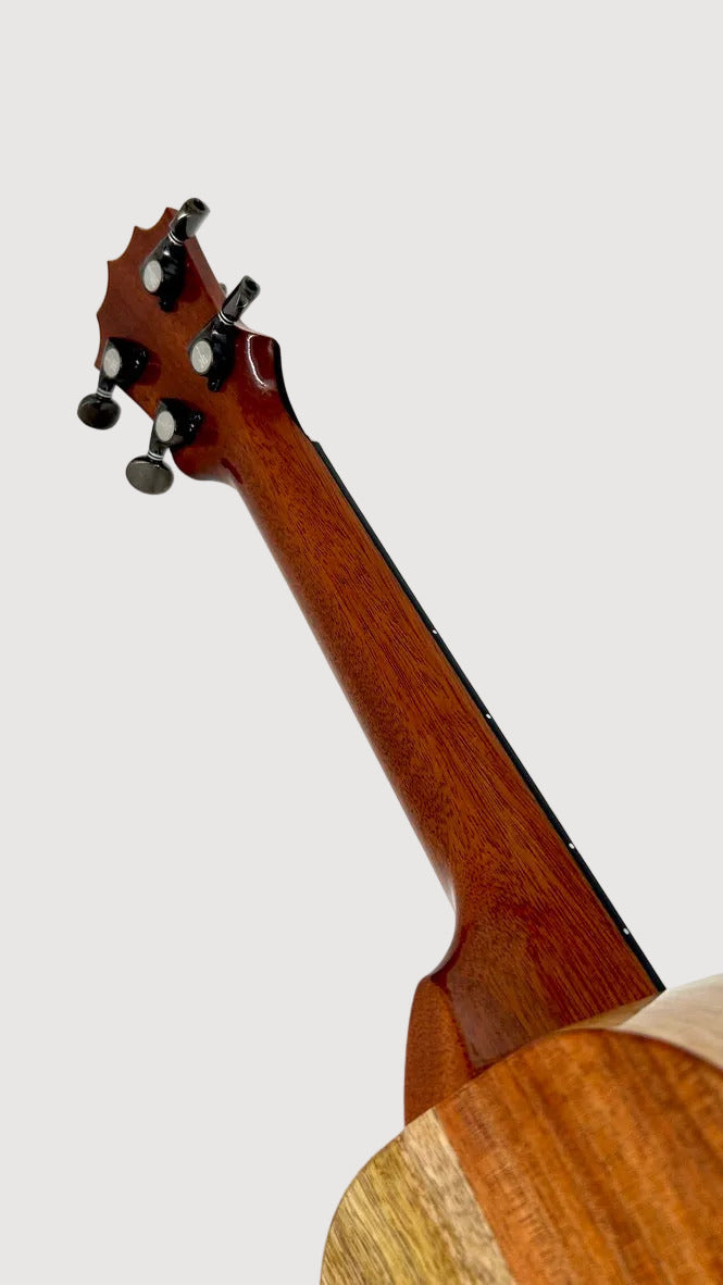 Koaloha KCNP-00 Naupaka Concert gloss #4