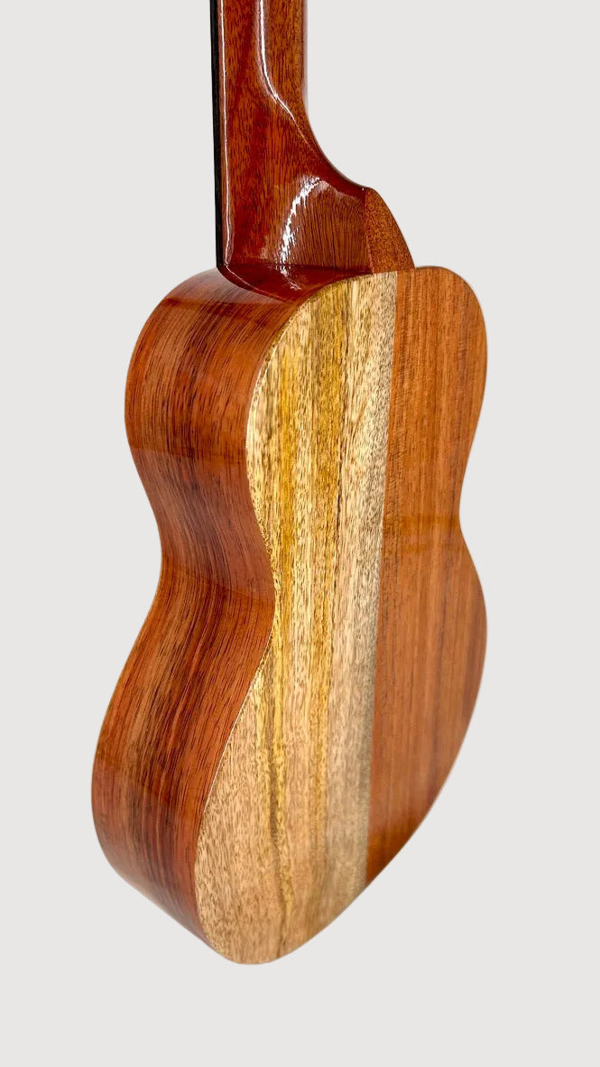 Koaloha KCNP-00 Naupaka Concert gloss #6