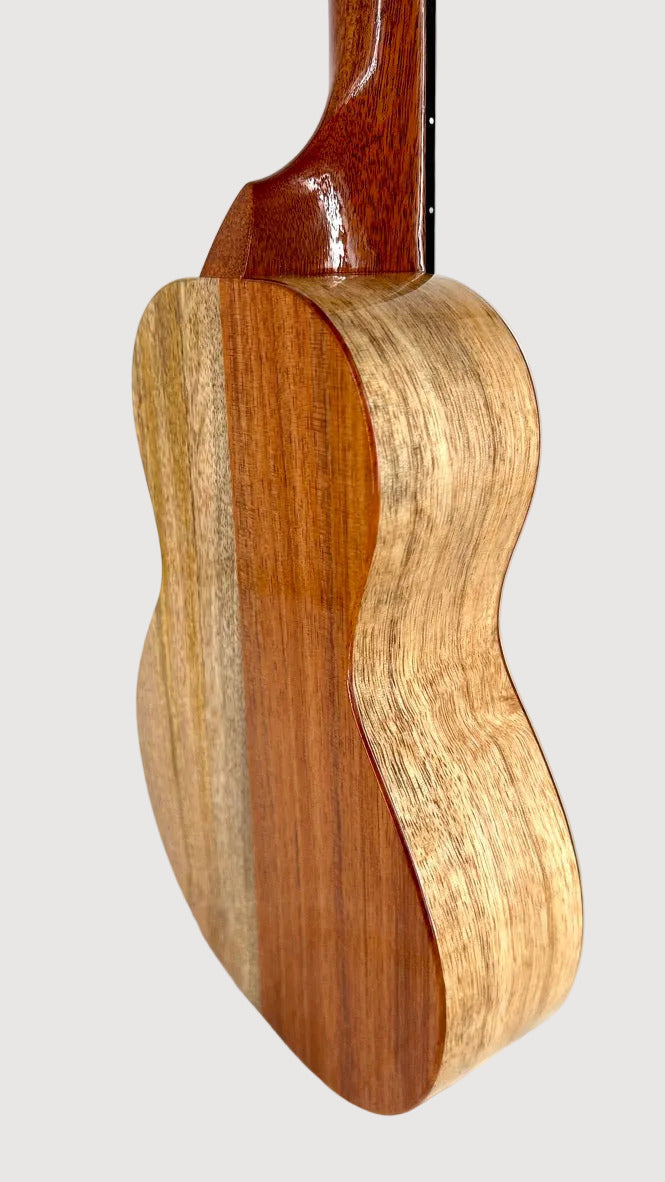 Koaloha KCNP-00 Naupaka Concert gloss #6