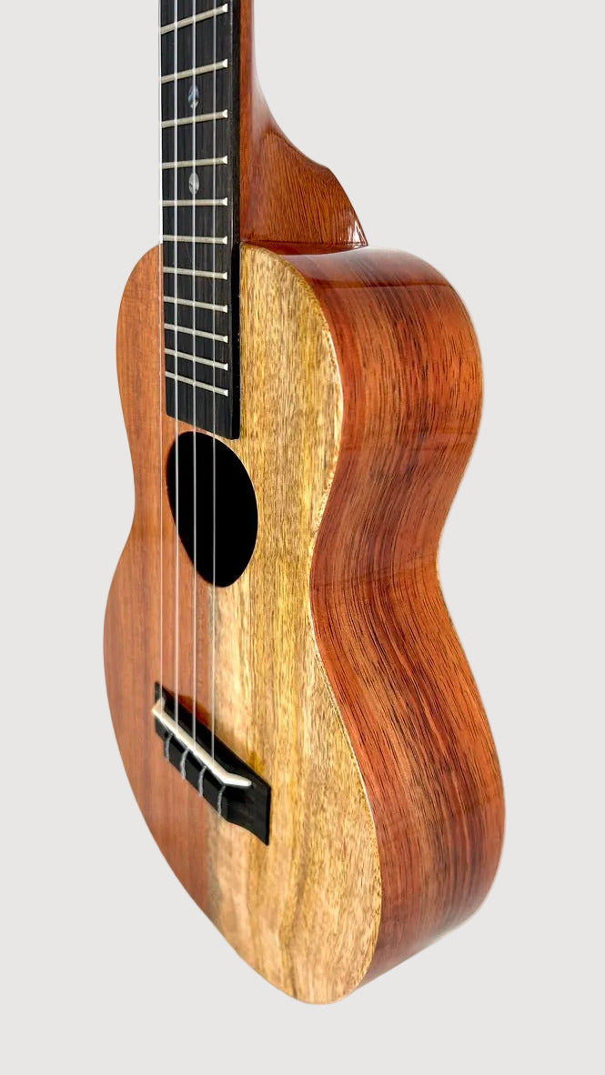 Koaloha KCNP-00 Naupaka Concert gloss #6