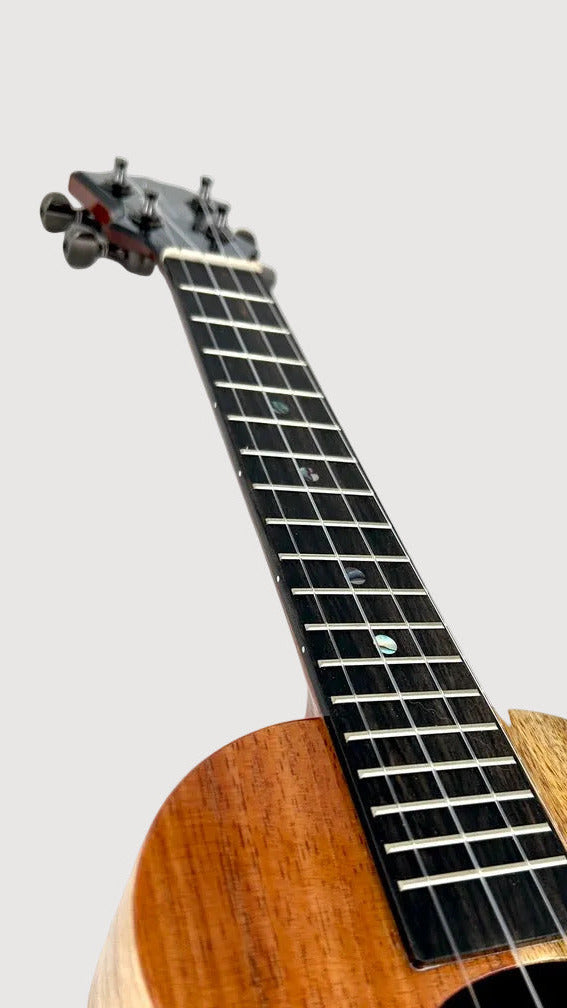 Koaloha KCNP-00 Naupaka Concert gloss #6