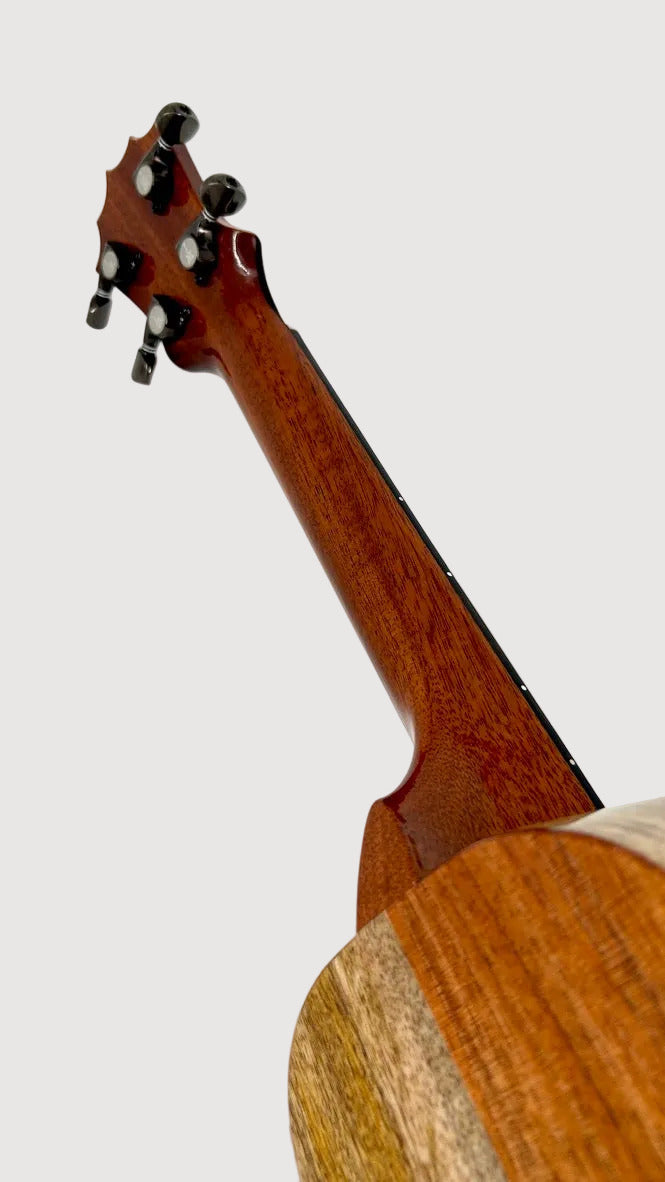 Koaloha KCNP-00 Naupaka Concert gloss #6