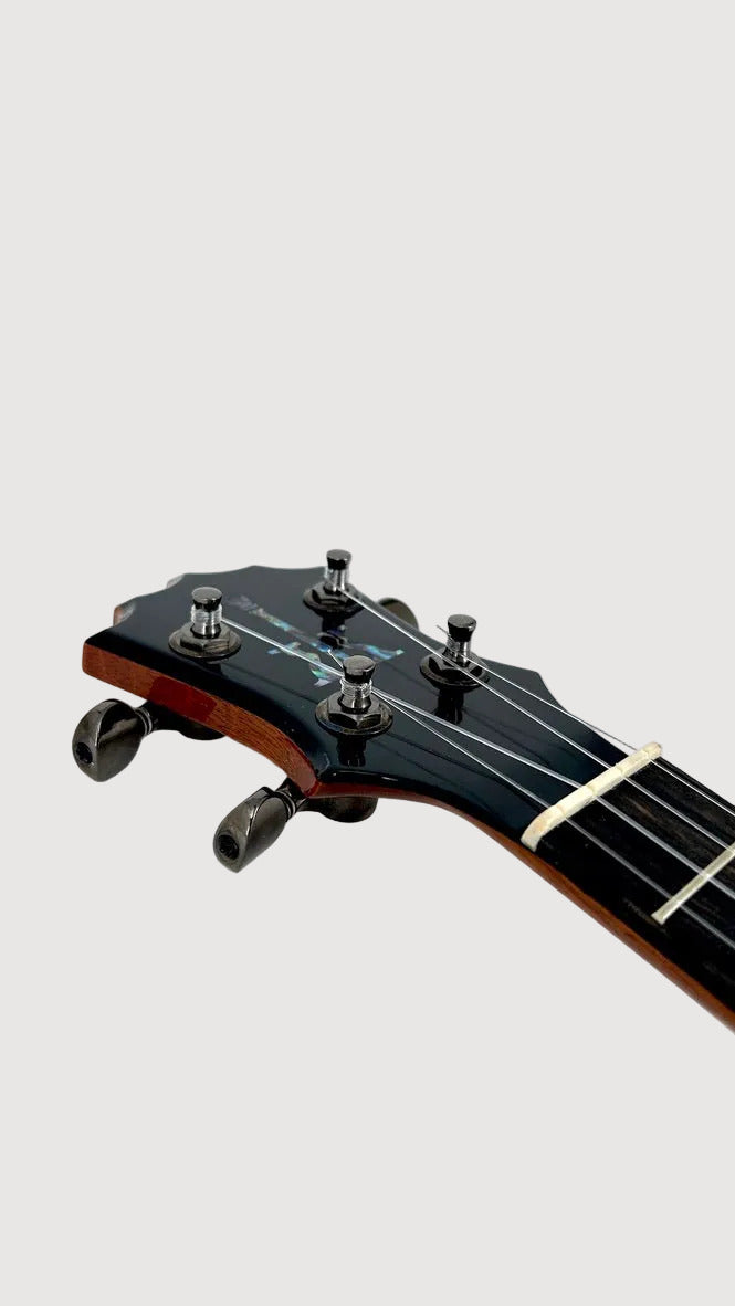 Koaloha KCNP-00 Naupaka Concert gloss #6