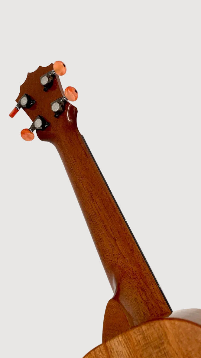 KoAloha KSM-02 Koa Sopran Longneck gloss #7