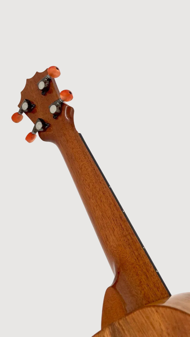 KoAloha KSM-02 Koa Sopran Longneck gloss #8