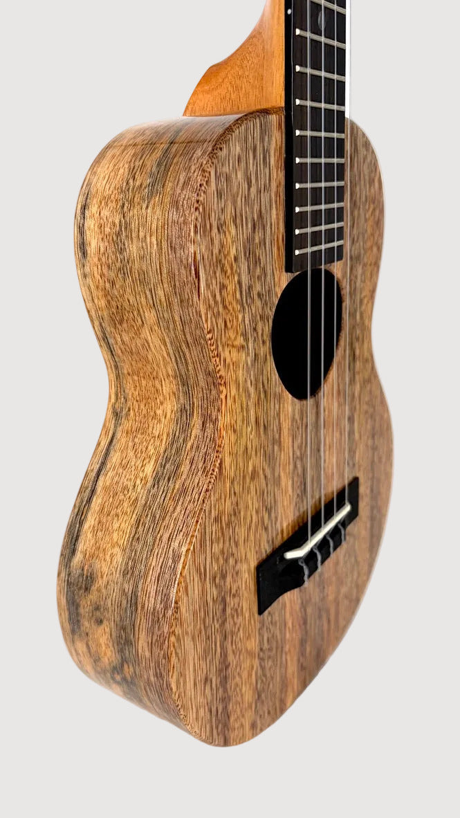 Koaloha KTM-00 Mango Tenor gloss #27